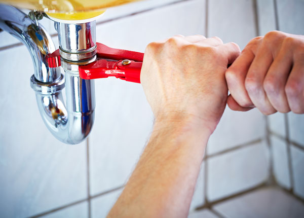 About Whitefield Plumbers